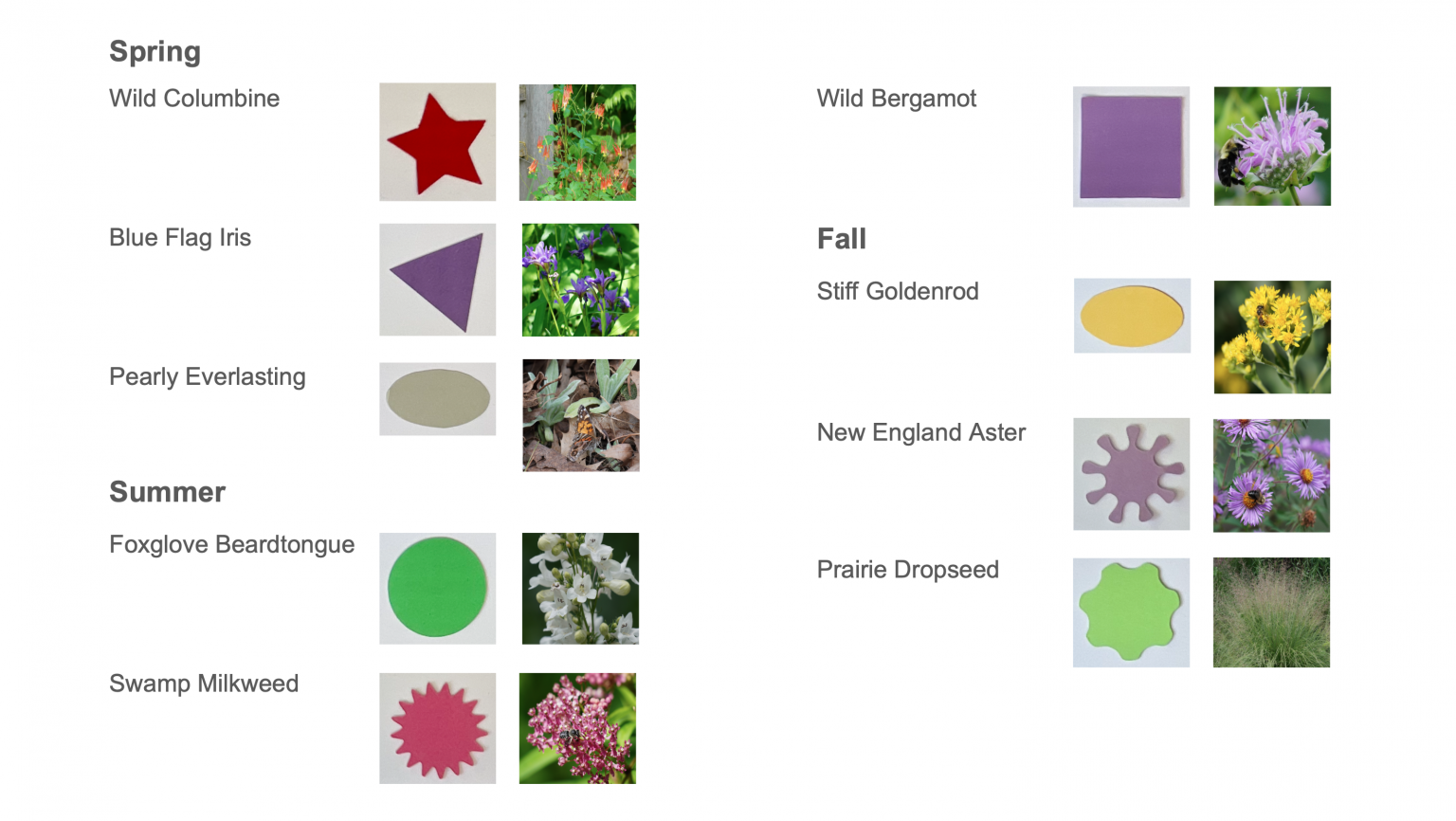 Pollinator Button Example Beginner pollinator garden: the 3 x 3 x 3 system | Wild Pollinator Partners